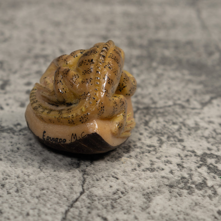 Vintage Brown And Tan Gecko Lizard Tagua Carving