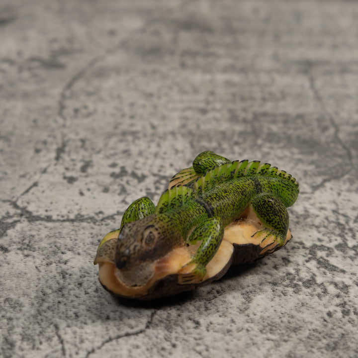 Double Nut Iguana Lizard Tagua Carving
