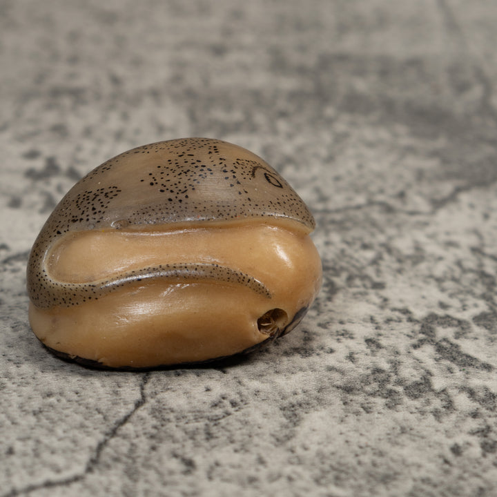 Vintage Ocean Stingray Tagua Carving