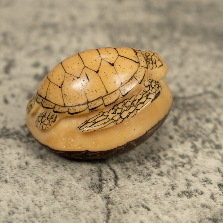 Vintage Black And White Sea Turtle Tagua Carving