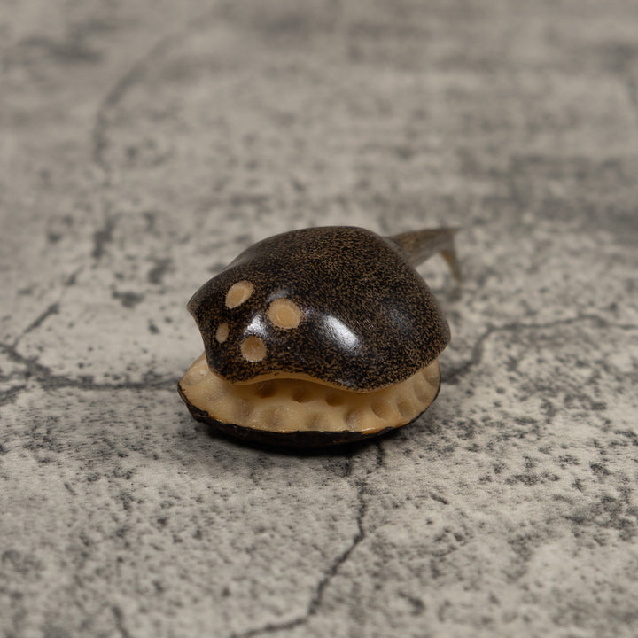 Ocean Stingray Tagua Carving
