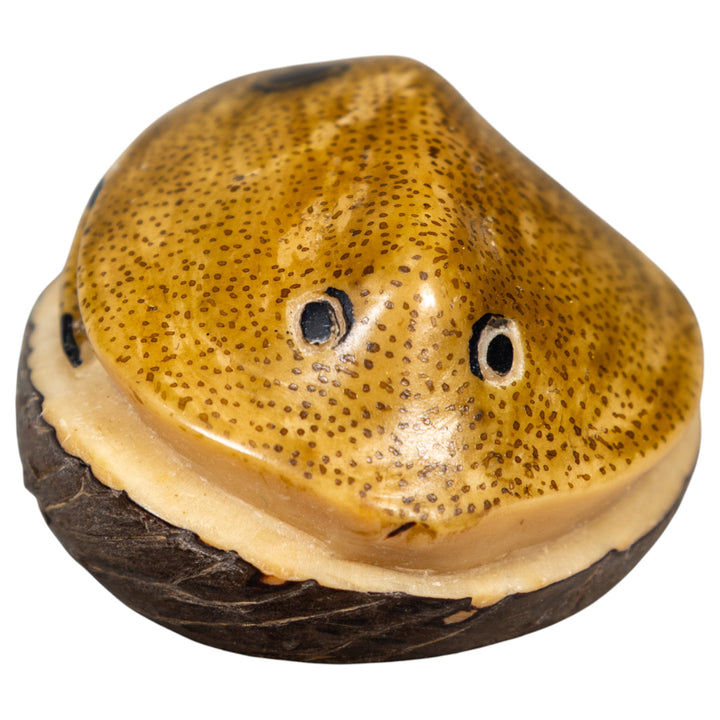 Ocean Stingray Tagua Carving