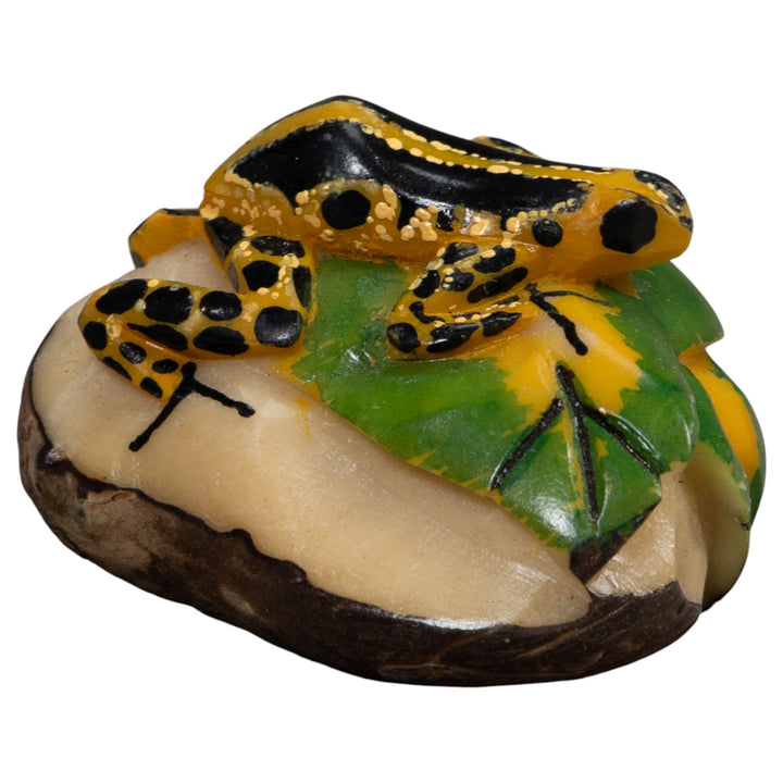 Gold And Black Poison Dart Frog Tagua Carving