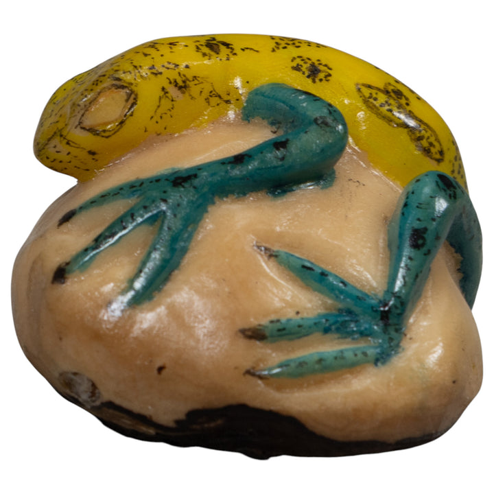 Vintage Green And Yellow Frog Tagua Carving