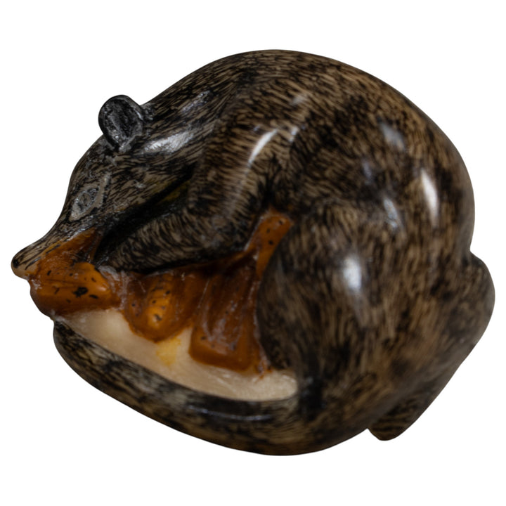 Vintage Black And Brown Coatimundi Tagua Carving
