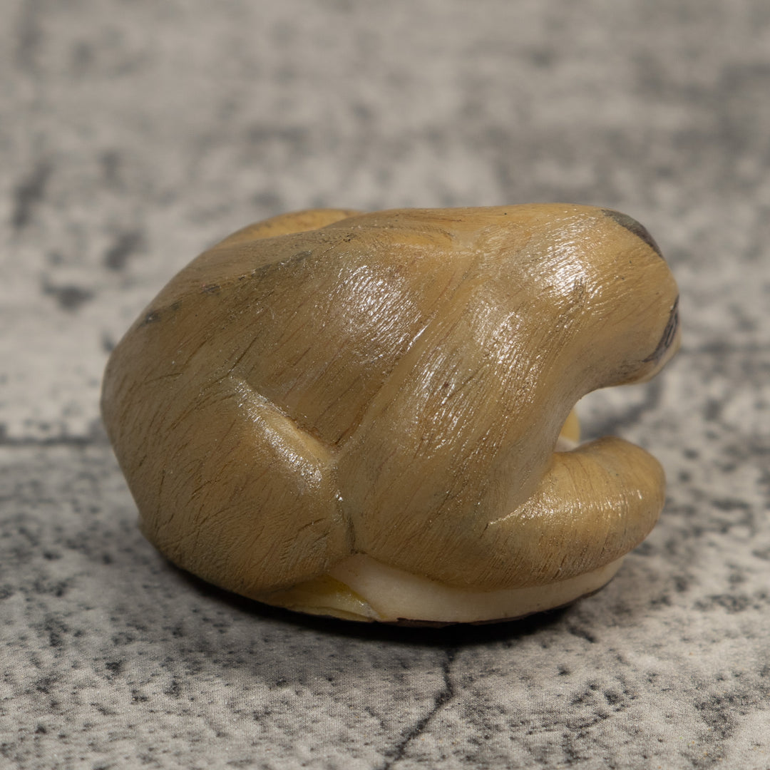 Brown Tan Sloth Tagua Carving