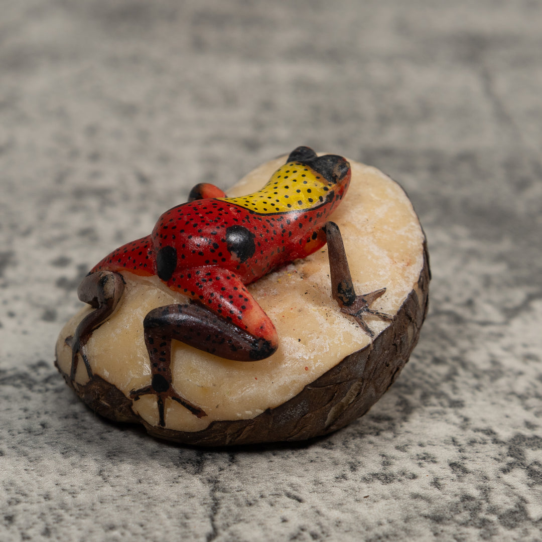 Vintage Red And Yellow Poison Dart Frog Tagua Carving