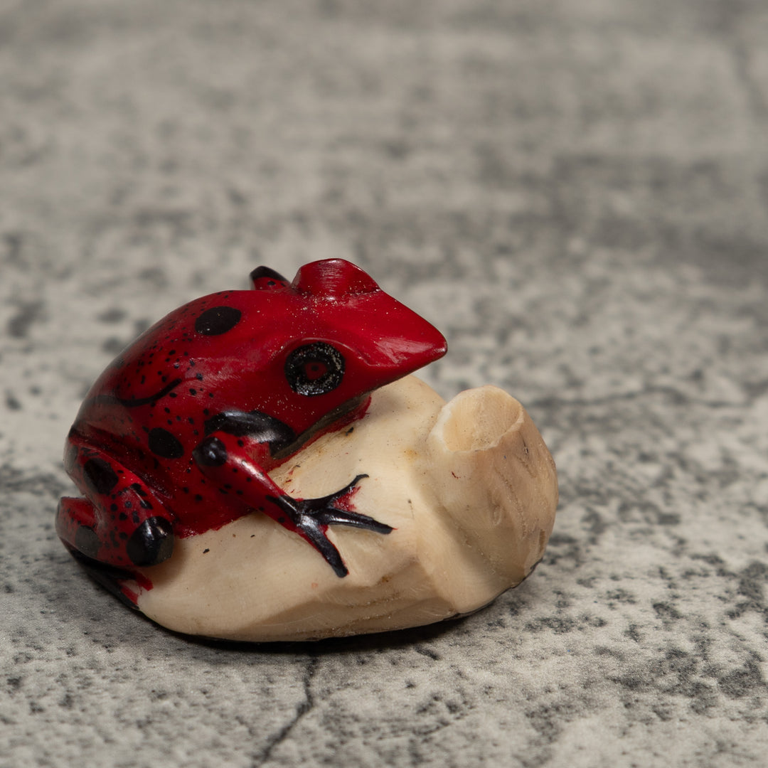 Red And Black Poison Dart Frog Tagua Carving