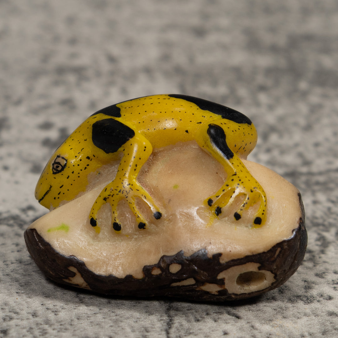 Vintage Yellow And Black Frog Tagua Carving