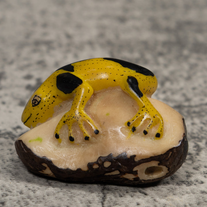 Vintage Yellow And Black Frog Tagua Carving