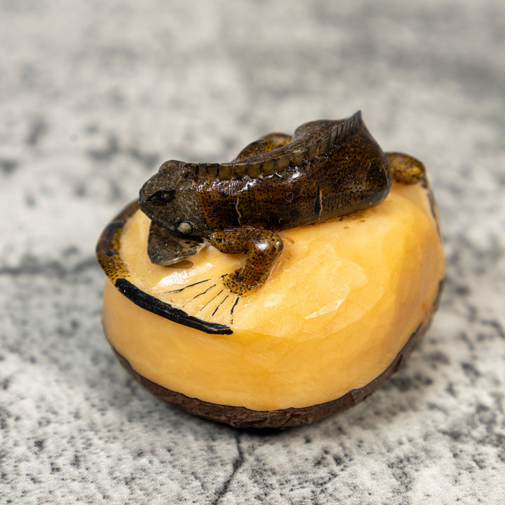 Brown And Black Iguana Lizard Tagua Carving