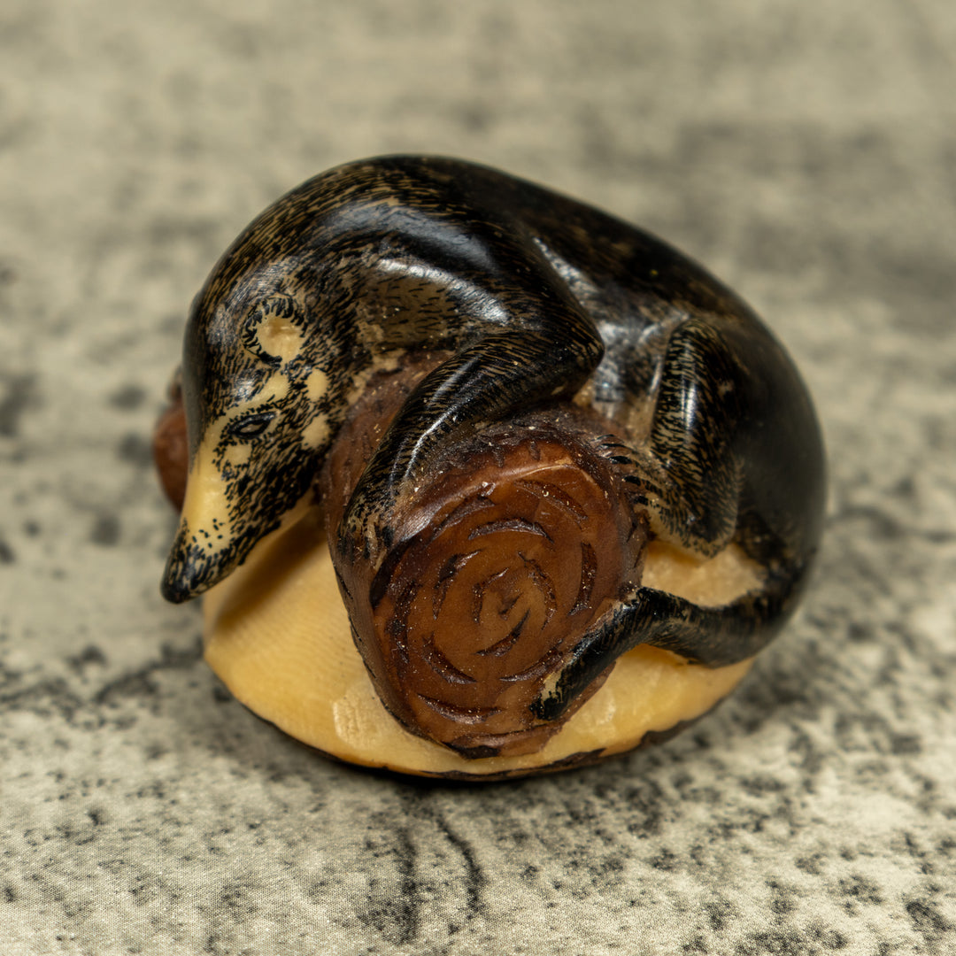 Coatimundi Tagua Carving