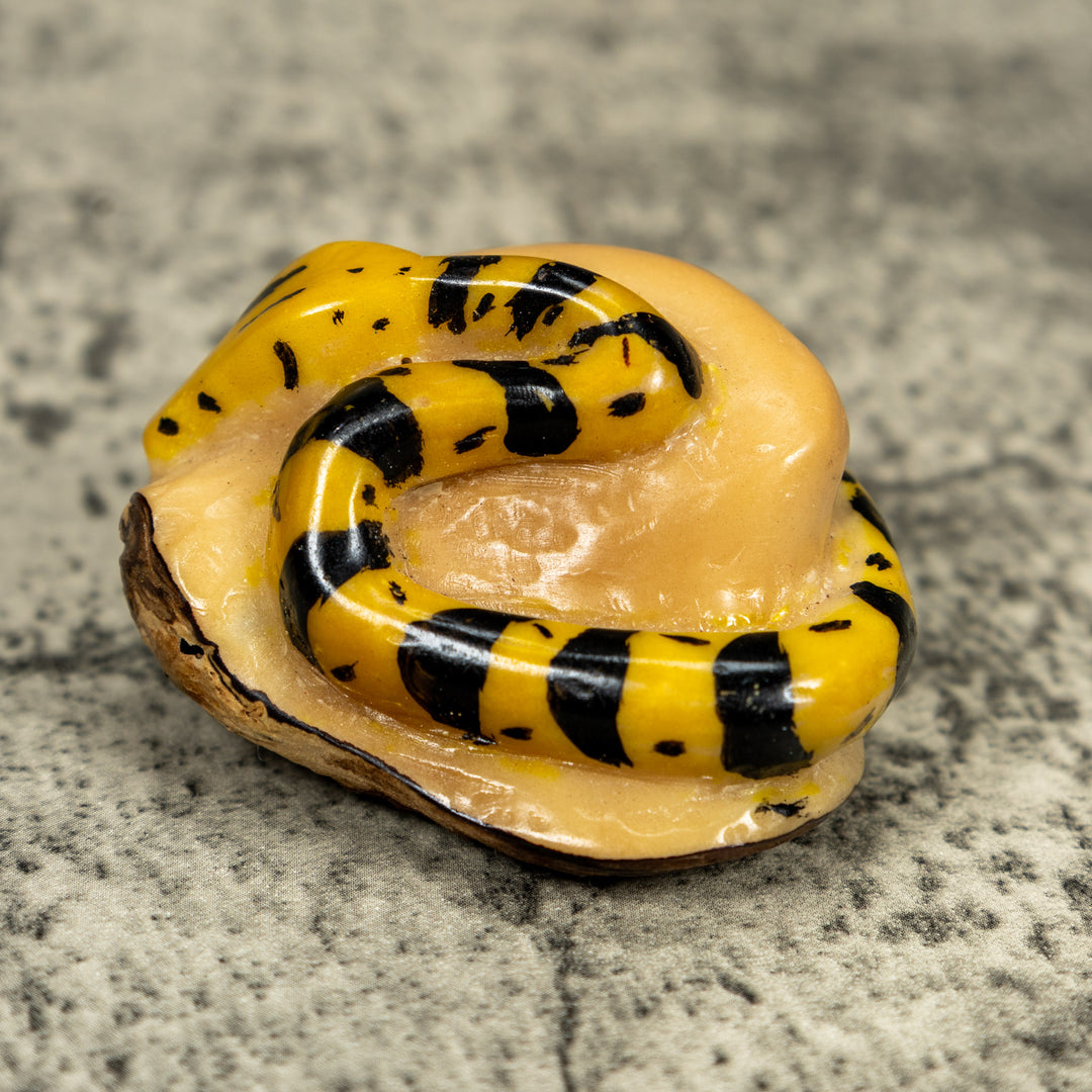 Vintage Black And Yellow Snake Tagua Carving
