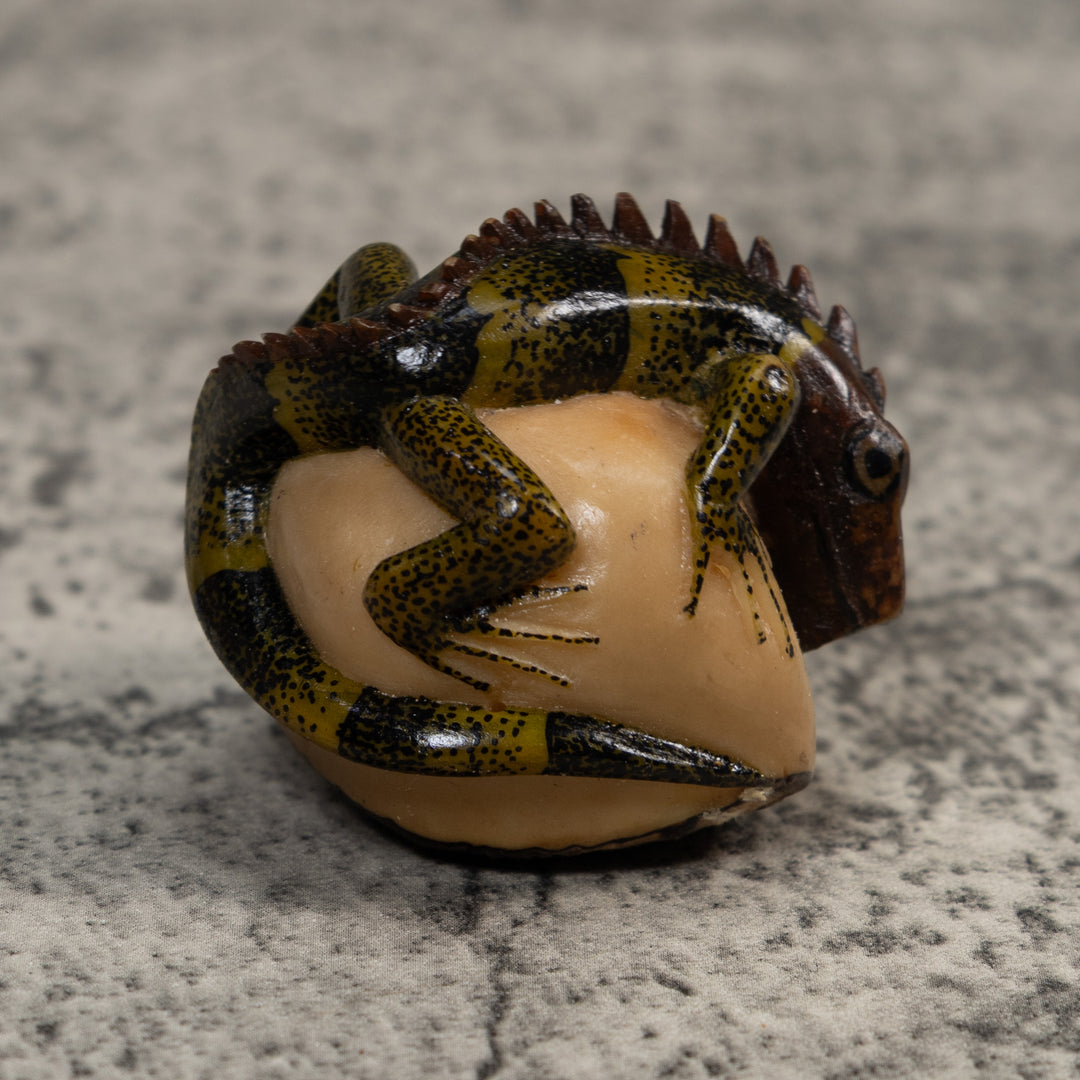 Black And Green Iguana Lizard Tagua Carving