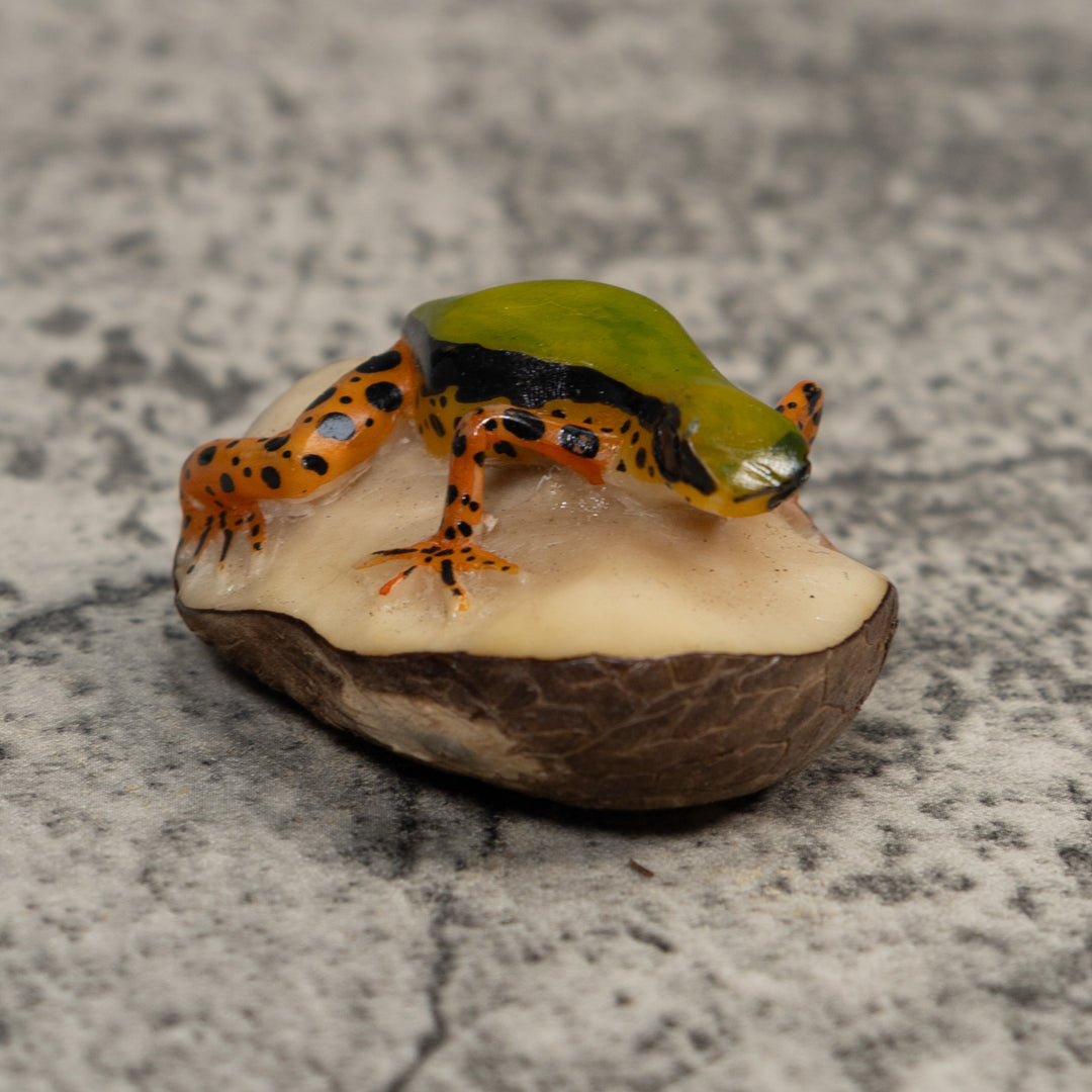 Vintage Green Gold And Dots Poison Dart Frog Tagua Carving