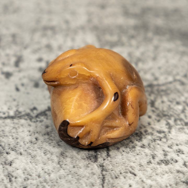 Vintage Dyed Frog Tagua Carving