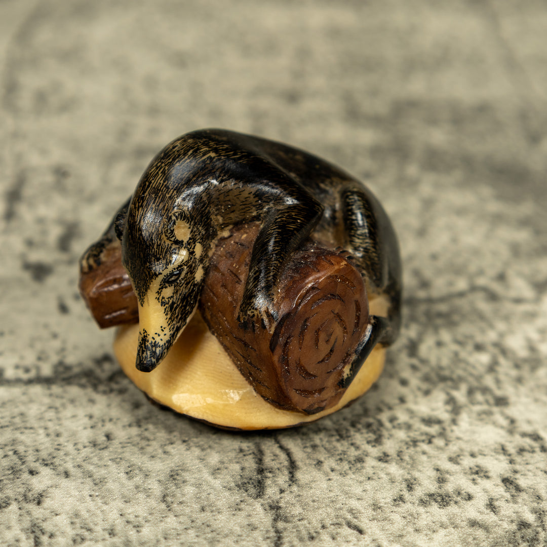 Coatimundi Tagua Carving