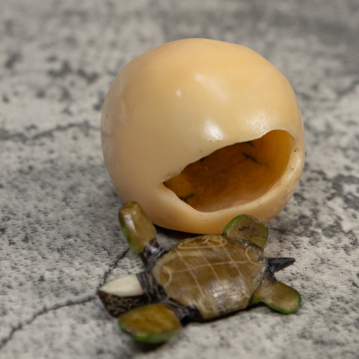 Sea Turtle Emerging From Egg Tagua Carving