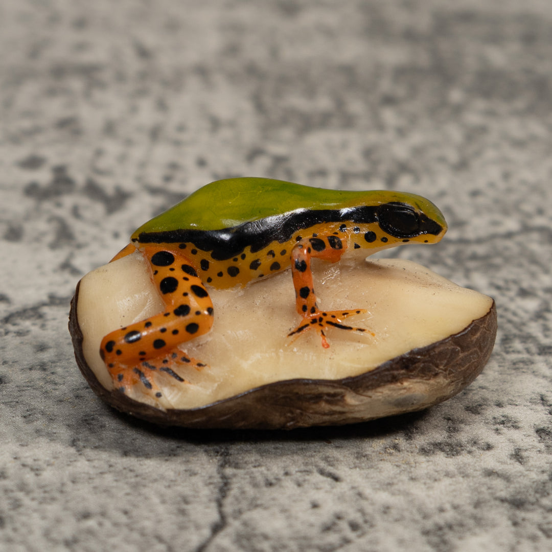 Vintage Green Gold And Dots Poison Dart Frog Tagua Carving