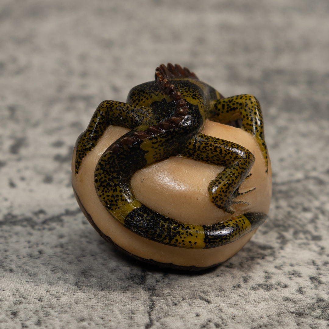 Black And Green Iguana Lizard Tagua Carving