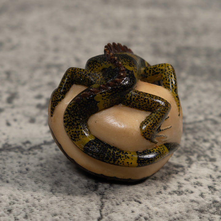 Black And Green Iguana Lizard Tagua Carving