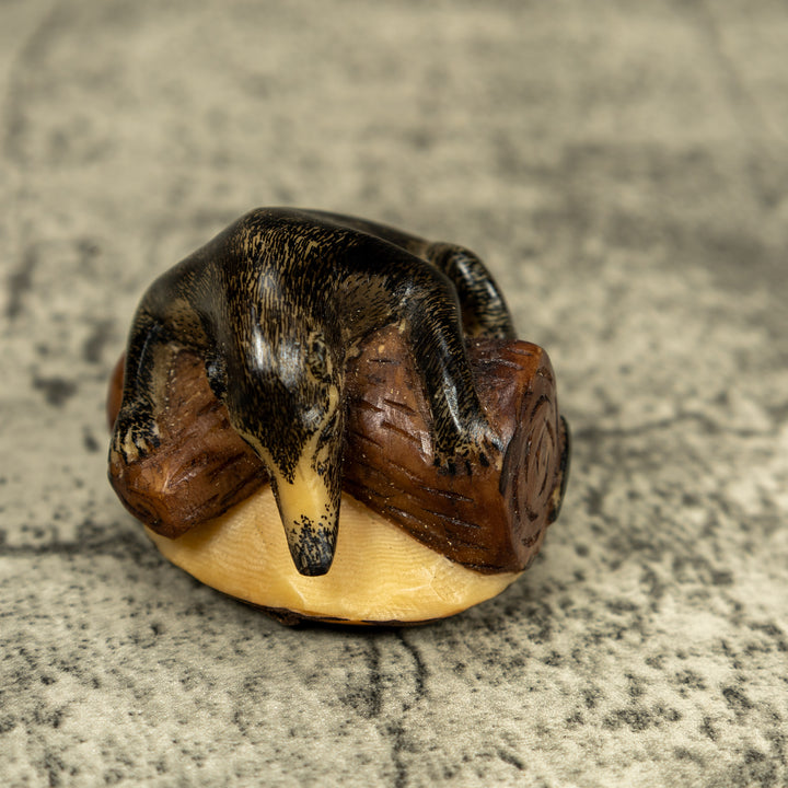 Coatimundi Tagua Carving