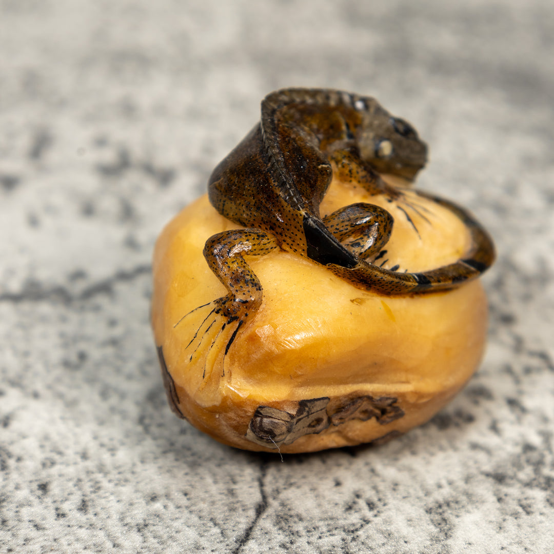 Brown And Black Iguana Lizard Tagua Carving