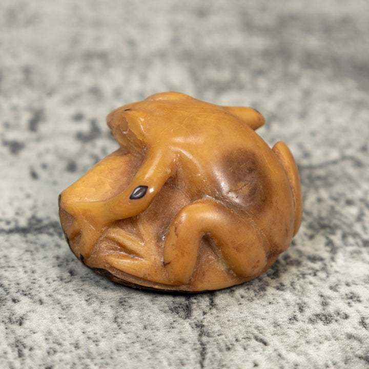Vintage Dyed Frog Tagua Carving