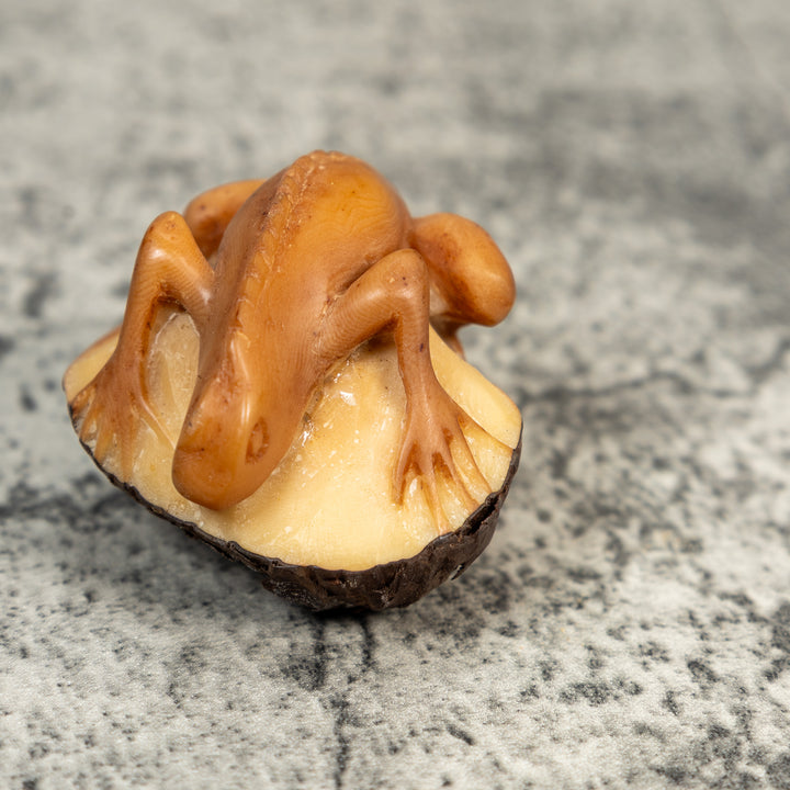 Vintage Dyed Iguana Lizard Tagua Carving