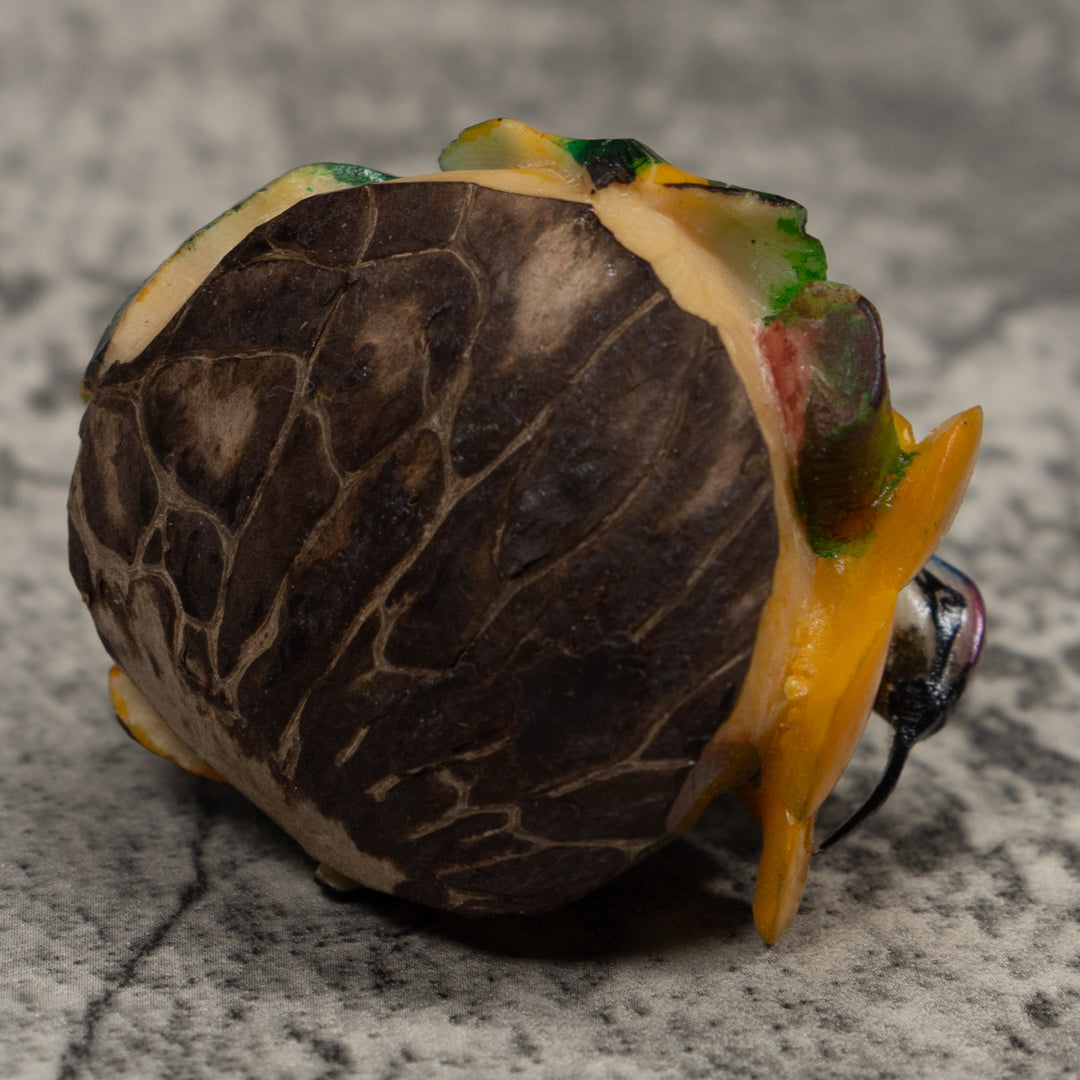 Hummingbird Tagua Carving