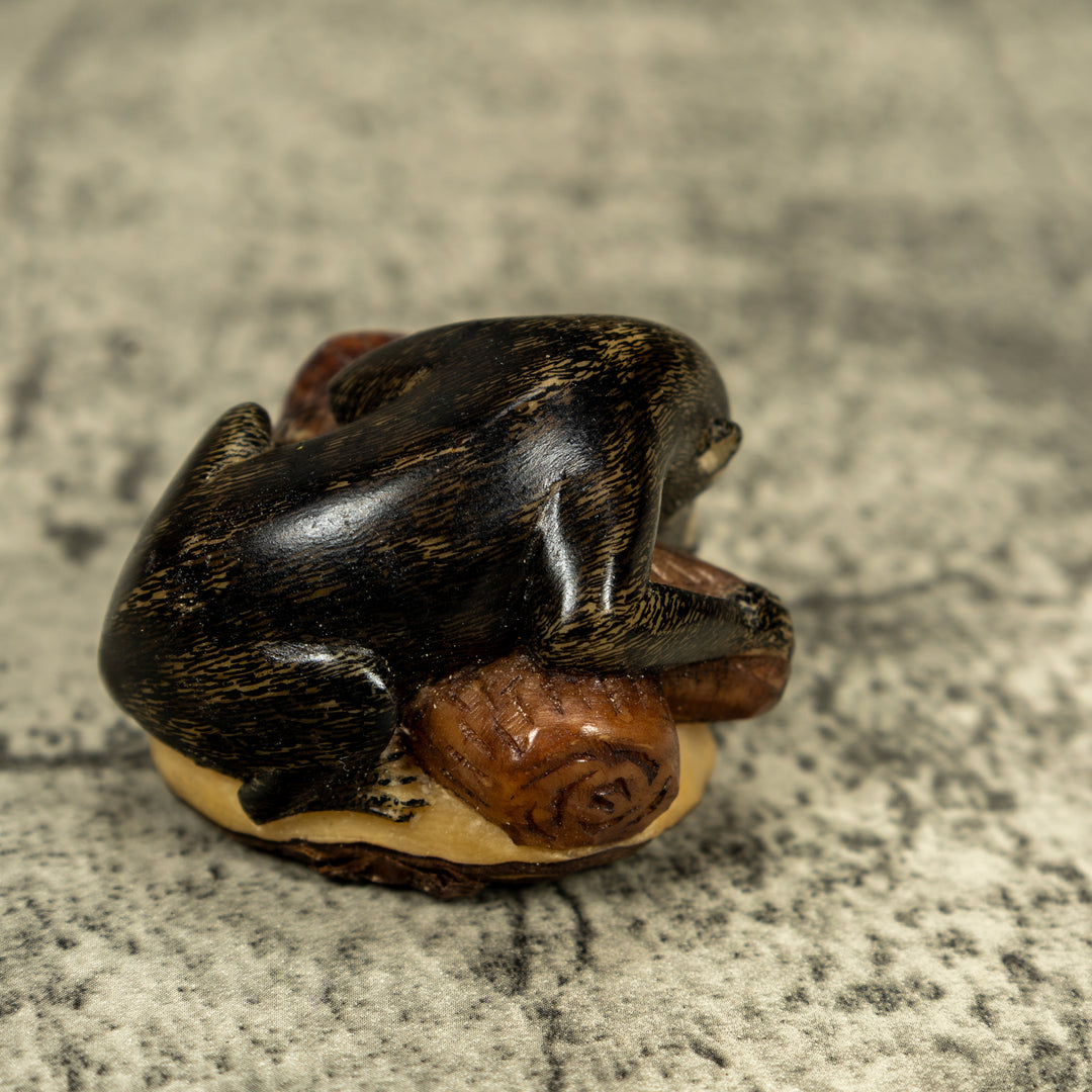 Coatimundi Tagua Carving