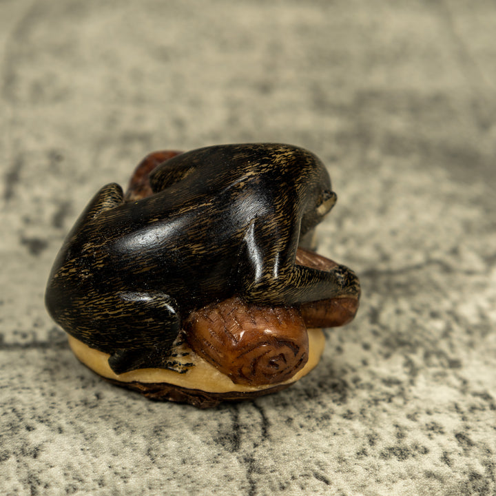 Coatimundi Tagua Carving