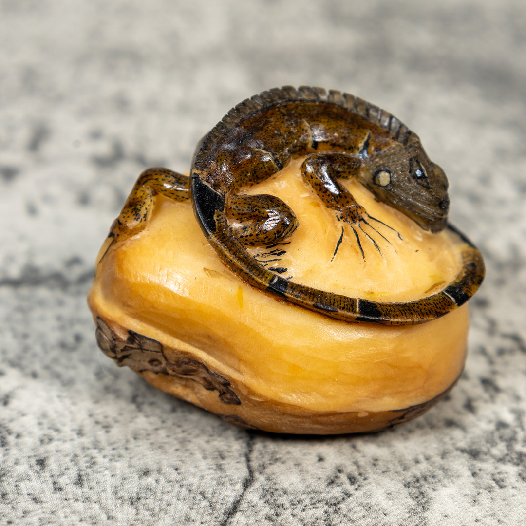 Brown And Black Iguana Lizard Tagua Carving