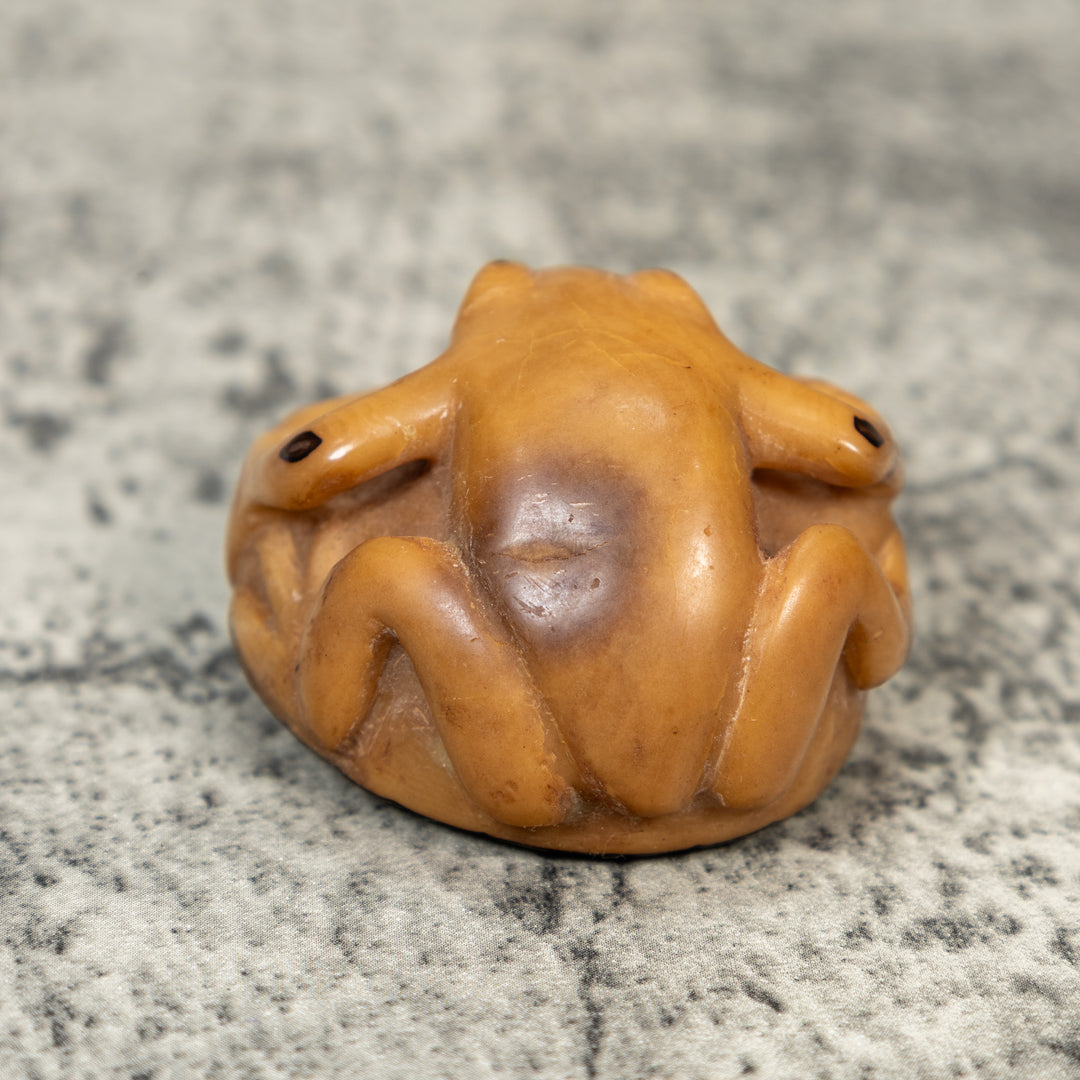 Vintage Dyed Frog Tagua Carving
