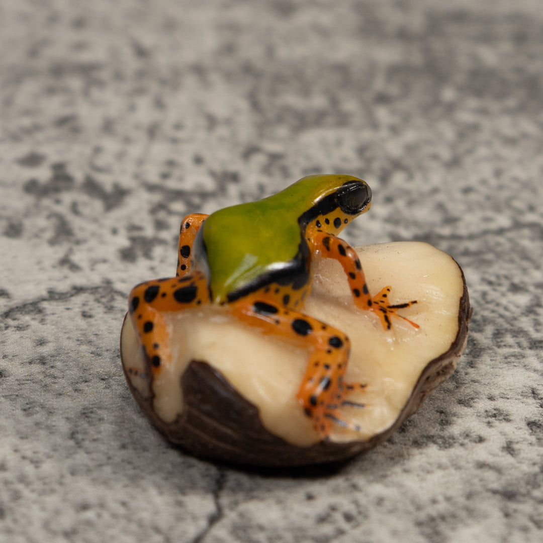 Vintage Green Gold And Dots Poison Dart Frog Tagua Carving