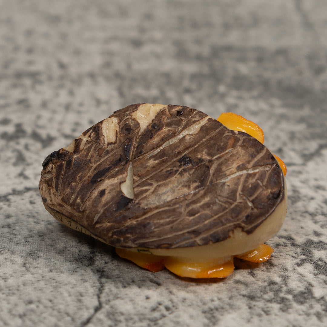 Double Golden Flower Petals Tagua Carving