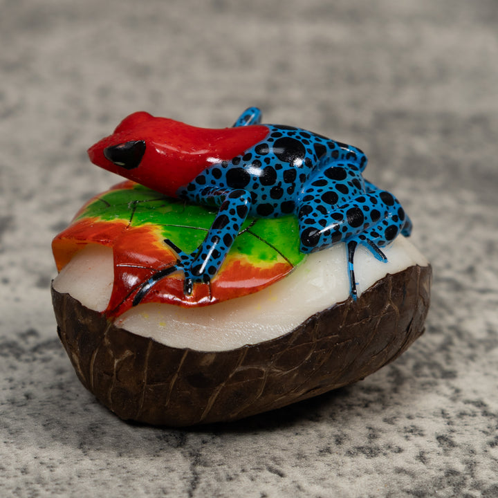 Red And Blue Poison Dart Frog Tagua Carving