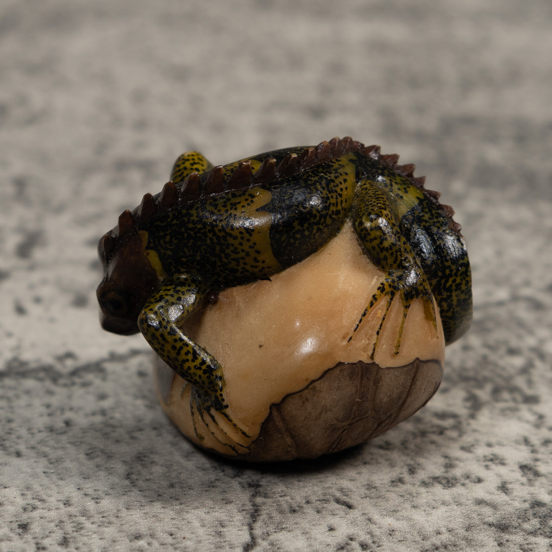 Black And Green Iguana Lizard Tagua Carving