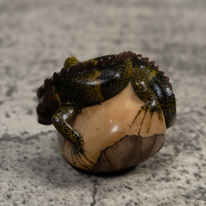 Black And Green Iguana Lizard Tagua Carving