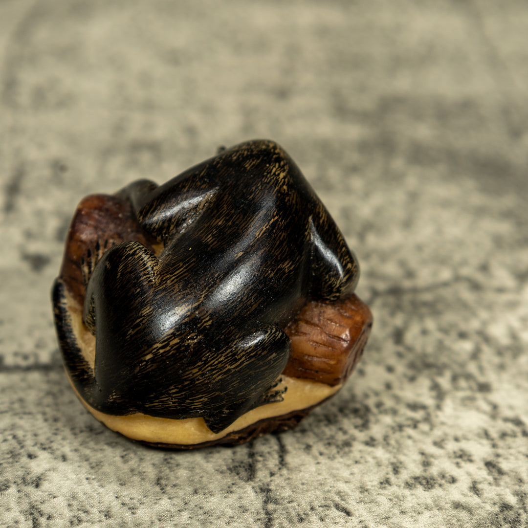 Coatimundi Tagua Carving