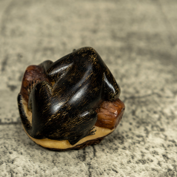 Coatimundi Tagua Carving