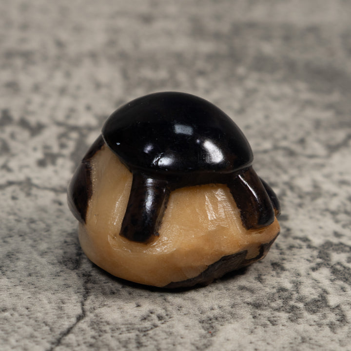 Vintage Black Turtle Tagua Carving
