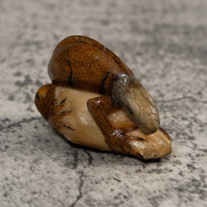 Vintage Brown Iguana Lizard Tagua Carving