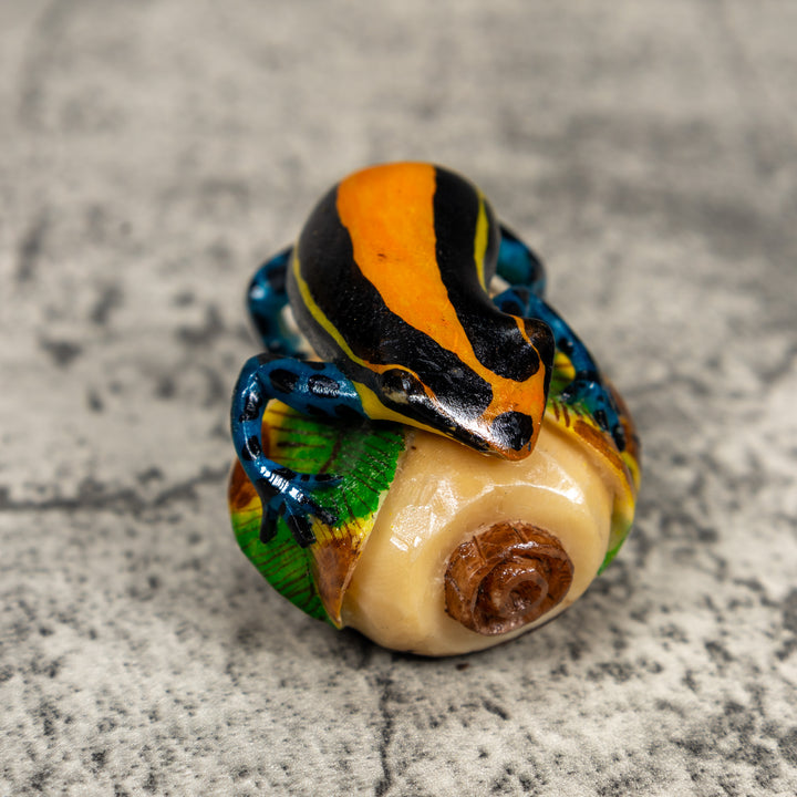 Black Orange Yellow And Blue Poison Dart Frog Tagua Carving