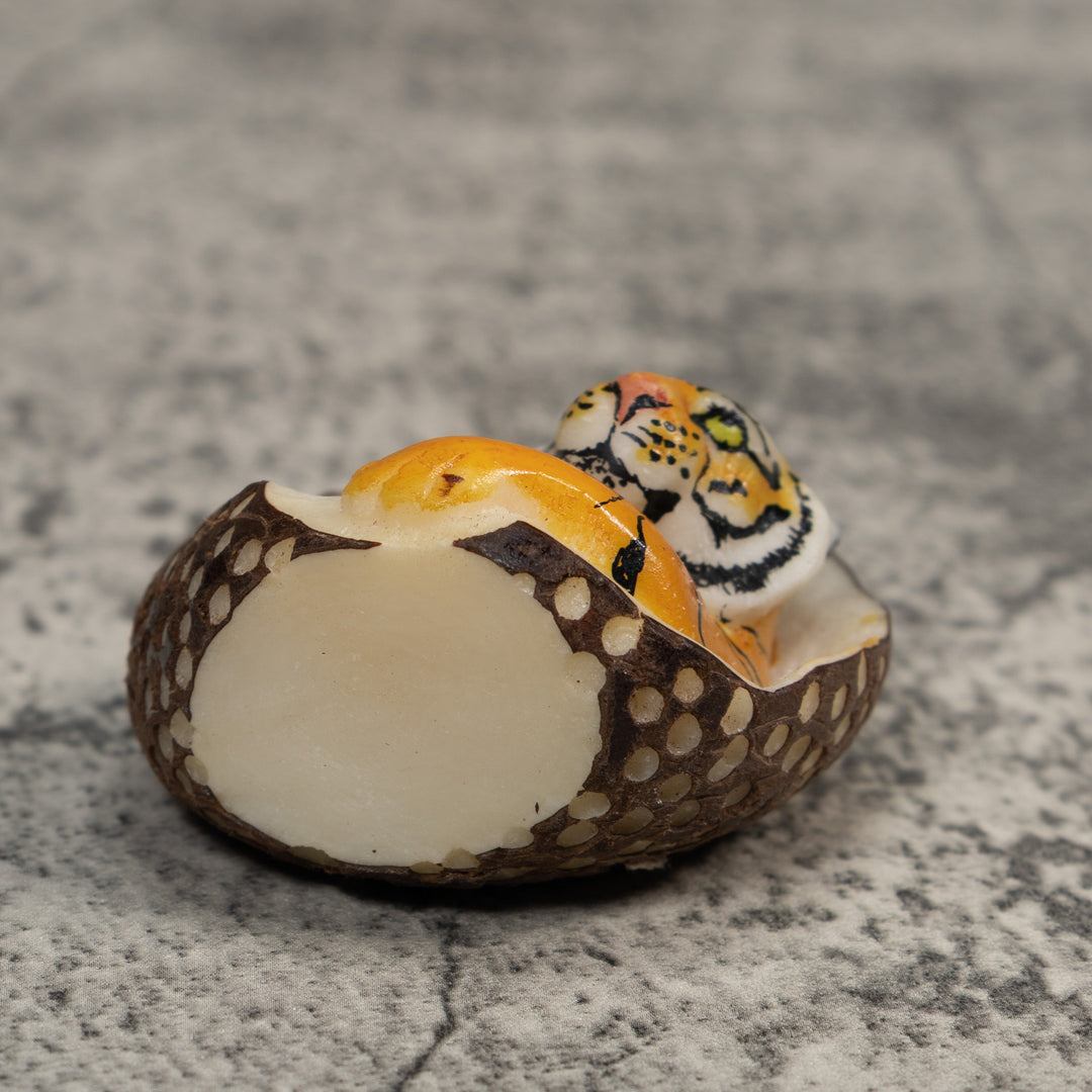 Orange And Black Bengal Tiger in Cave Tagua Carving