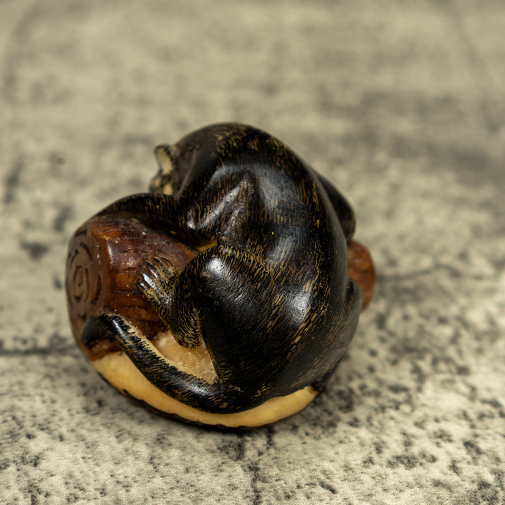 Coatimundi Tagua Carving