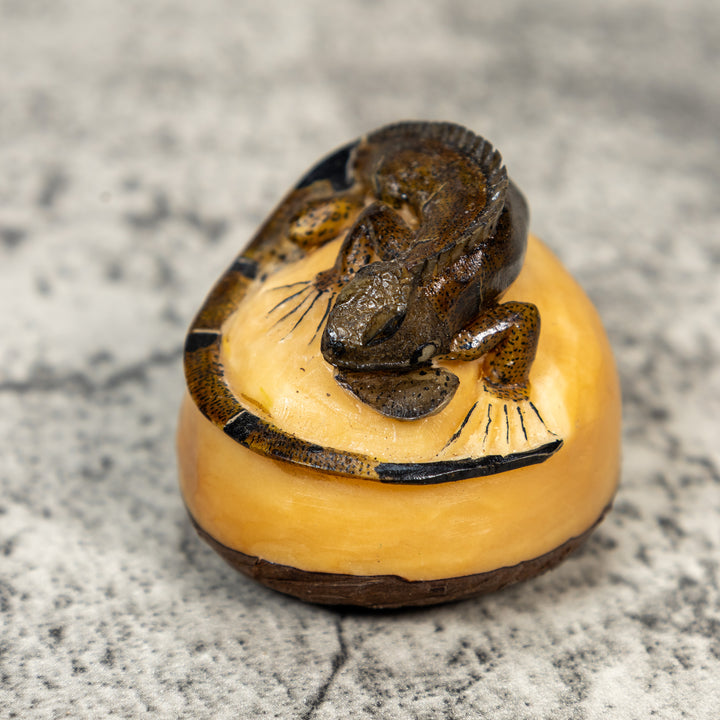 Brown And Black Iguana Lizard Tagua Carving