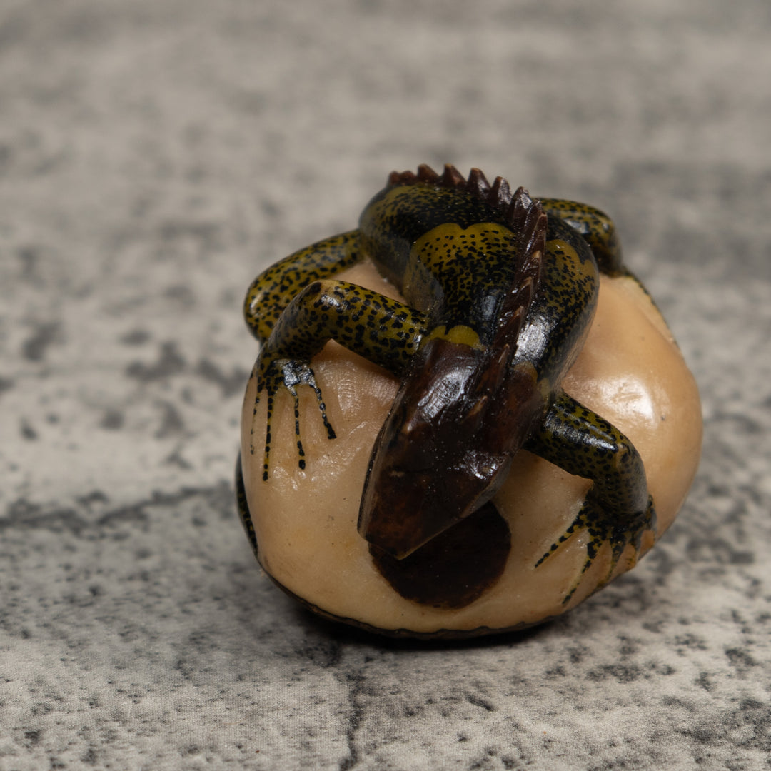 Black And Green Iguana Lizard Tagua Carving