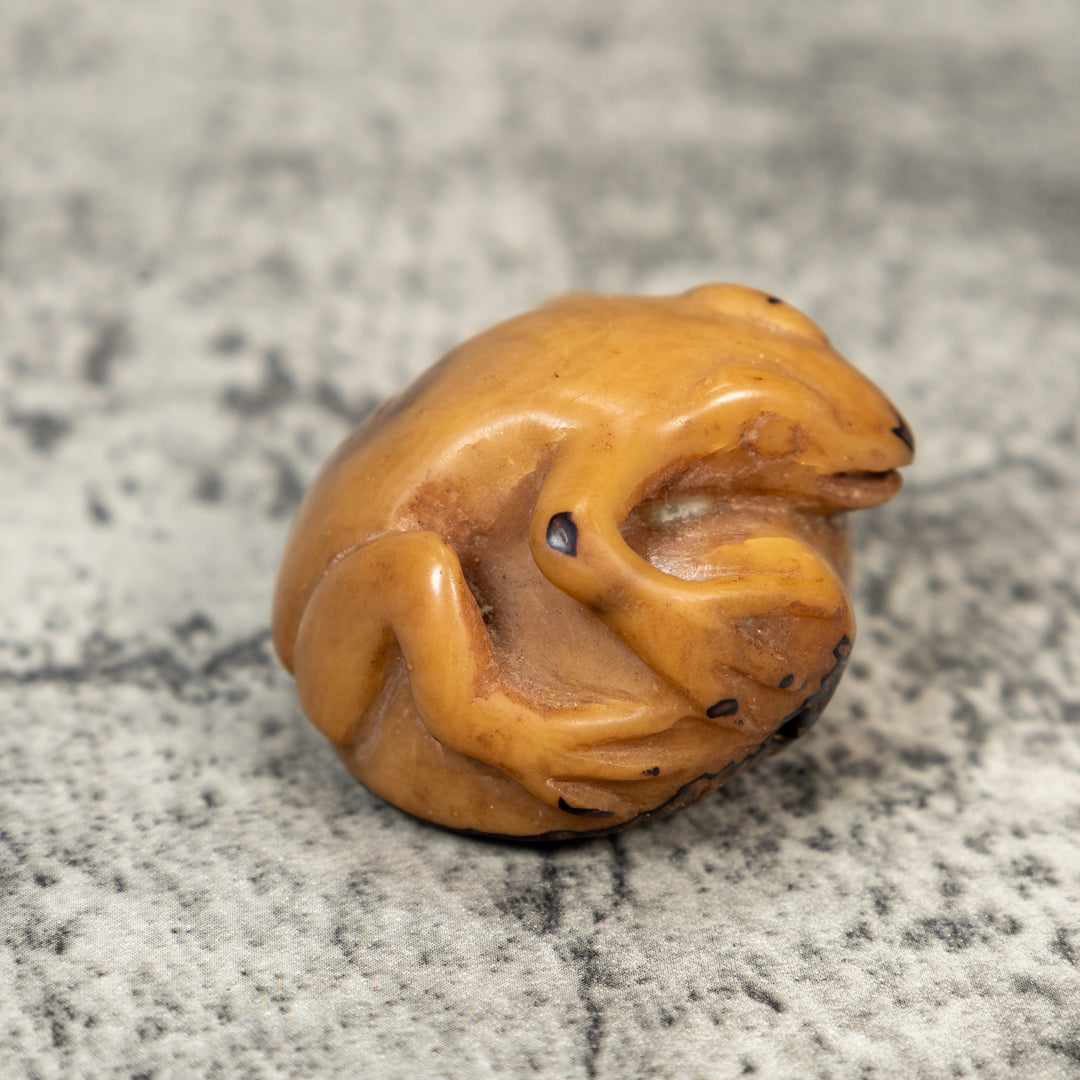 Vintage Dyed Frog Tagua Carving