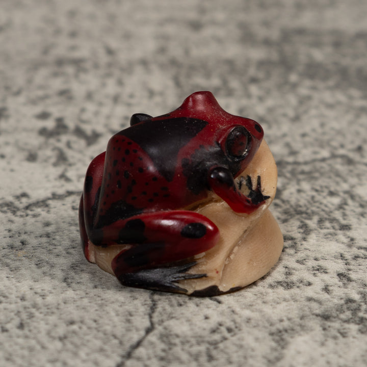 Vintage Red And Black Frog Tagua Carving